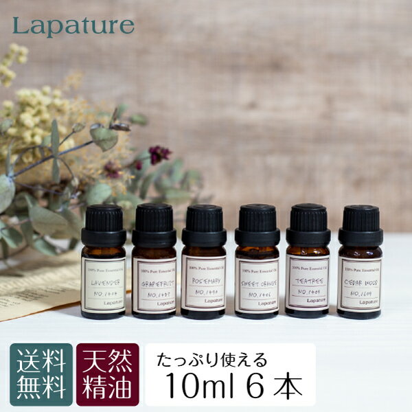 ベイローレル・エッセンシャルオイル・オーガニック(ローレルリーフ)33％／30ml（有機栽培・Organic）【100% 植物性 フレグランス 精油 アロマ 手作り コスメ 手づくり 化粧品 ハンドメイド 石鹸 石けん 原料 材料 素材】