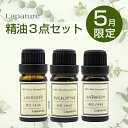 【5月限定】Lapature エッセンシャルオイル(精油)10ml 3本 限定セット(4)