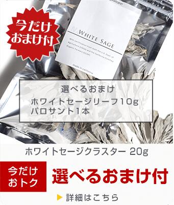 【今だけ選べるおまけ付】【香り・品質自信あり】ホワイトセージ クラスター 20g オーガニック 無農薬 USDA・CCOF認証農場産 浄化用 Lapature(ラパチュア) プレゼント