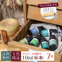 【今だけ1本増量＋おまけ付】Lapatureエッセンシャルオイル(精油) 選べる10ml6本 アロマディフューザー アロマオイル ラパチュア たっぷり使える 芳香剤 プレゼント 1