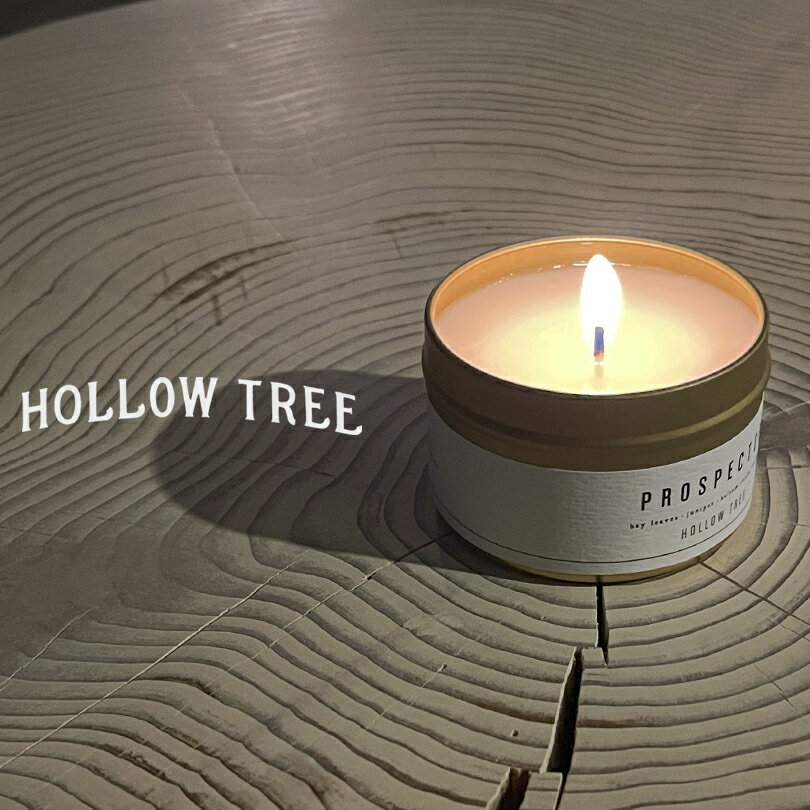 ʥ ޥɥHOLLOW TREEۥȥ٥ ե쥰 ɥ ۥĥ꡼ ʥ ϥɥᥤ  ʥå å ƥꥢ  ե ץ쥼 ʥ  ӥ