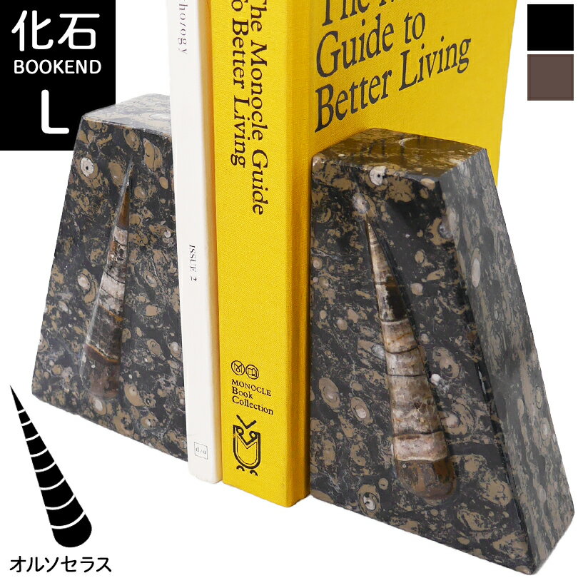 商品 化石ブックエンド(大理石) Lサイズ/オルソセラス ※こちらの商品は1対(左右)での販売です。 北アフリカはサハラ砂漠からお届けする化石を含んだ大理石のブックエンドをご紹介致します。当店ではかねてから化石をインテリアに取り入れたいと考...