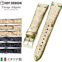 rv xg oh HDT DESIGN G.P.F. GPF Vintage Alligator Be[W AQ[^[ U[ v 20mm ubN zCg