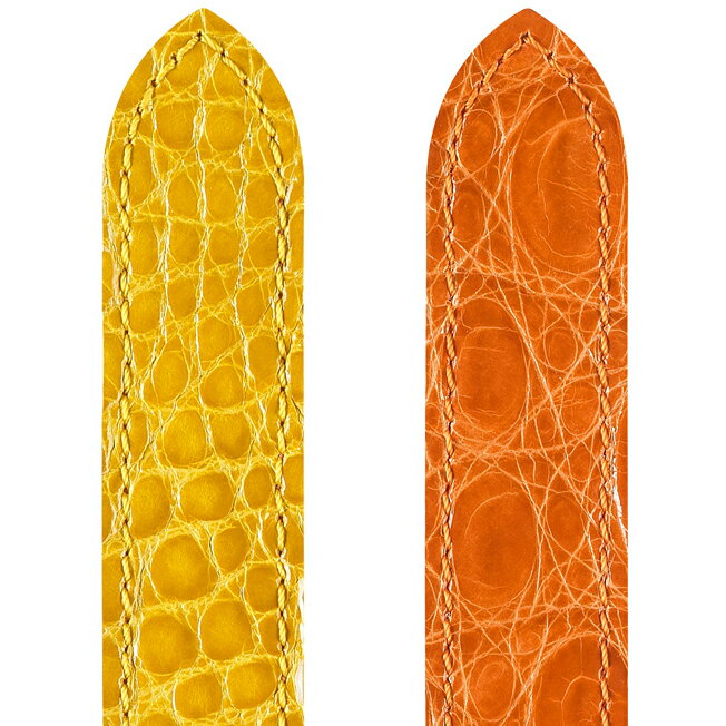 バネ棒付き 時計 ベルト 腕時計 HIRSCH ヒルシュ Selection Savoir Caiman Croco Color サヴォワール カイマン カラー 艶あり レザー革 12mm 14mm 15mm 16mm 17mm 18mm 19mm 21mm ブラウン ブルーイエロー ベージュ ホワイト