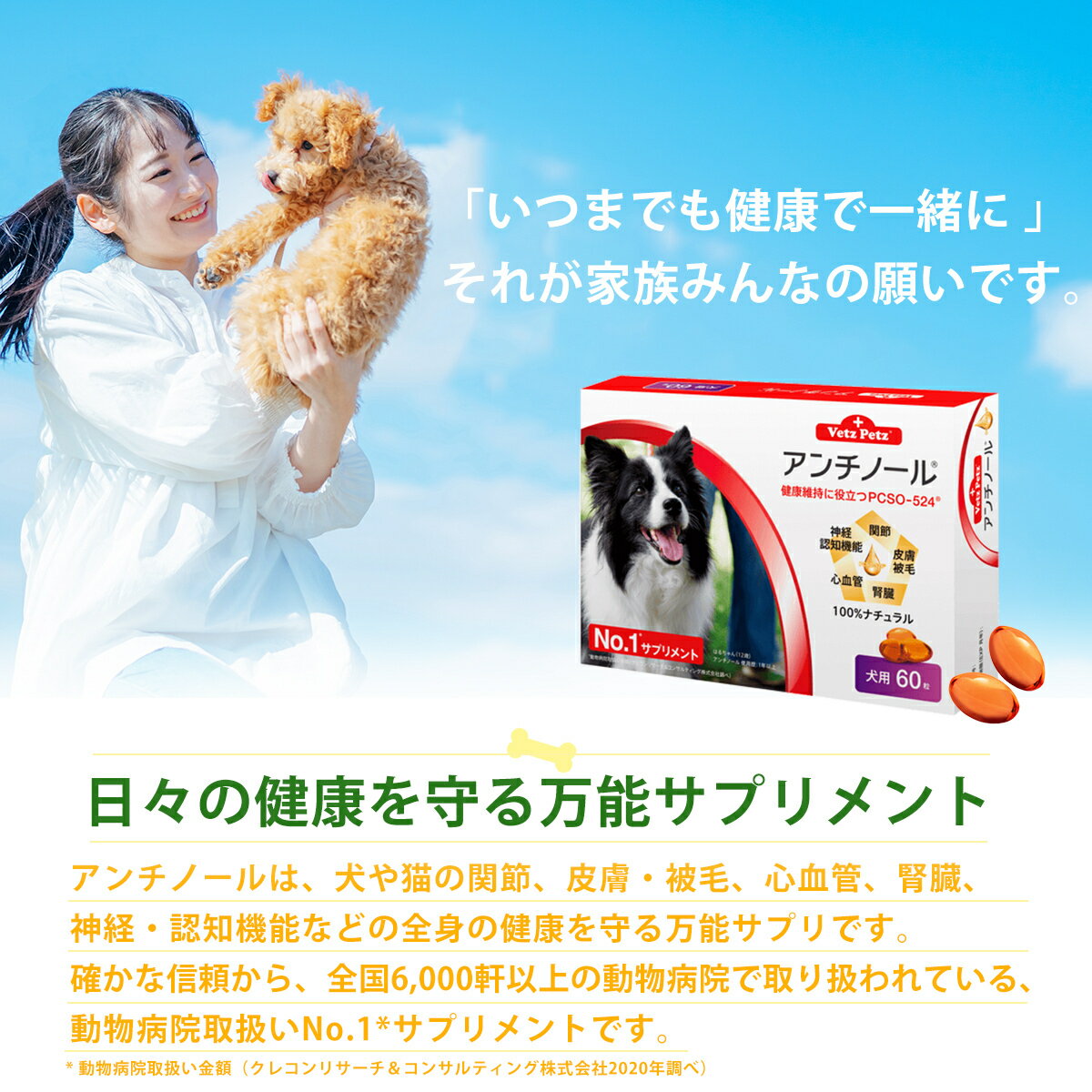 楽天市場 アンチノール 犬用 60粒 サプリメント Chronus みんなのレビュー 口コミ