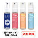 【クーポンあり★ポイントUP】靴・靴下の消臭スプレー 30mL 1本 CPコートDS ミニボトル CHU-PAオリジナル 靴 インソール 消臭 スプレー 消臭 ...