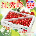 やまがたのさくらんぼ 紅秀峰 Lサイズ 800g 優品 【6月下旬〜発送】 バラ詰め 山形のさくらんぼ 訳あり ご家庭用 食べる宝石 ルビー色の果実 【路地物/...