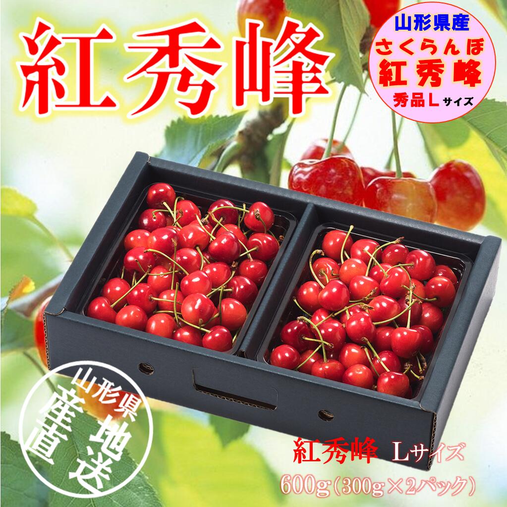 【6月下旬～発送】 やまがたのサクランボ 紅秀峰 秀品 600g（300g×2パック） 贈答用 山形のさくらんぼ ご家庭用 食べる宝石 ルビー色の果実 Lサイズ 600g 秀品 バラ詰め 山形県産 さくらんぼ フルーツ ギフト 贈り物 産地直送 送料無料