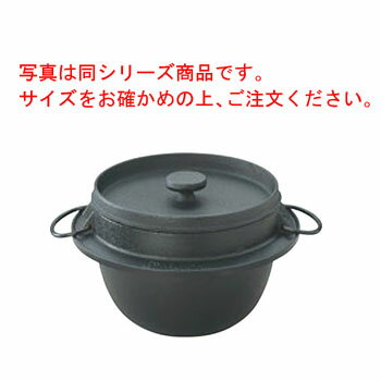 鉄ごはん鍋 2合炊 21-084【炊飯鍋】【鉄鍋】
