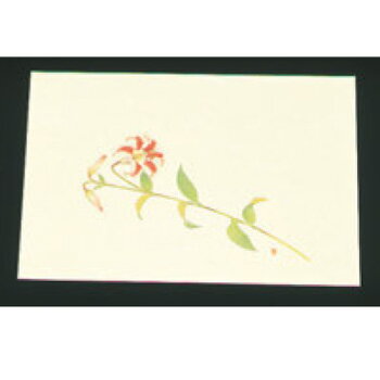 尺三 懐石まっと クリーム(100枚入)WSS-14 笹ゆり【敷マット】【懐石料理】