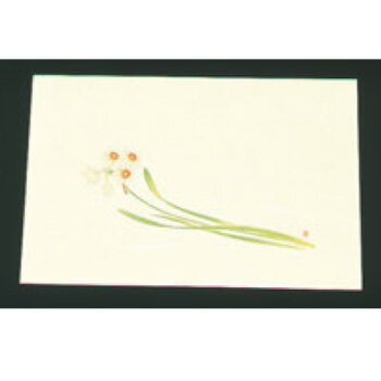 尺三 懐石まっと クリーム(100枚入)WSS-17 水仙【敷マット】【懐石料理】