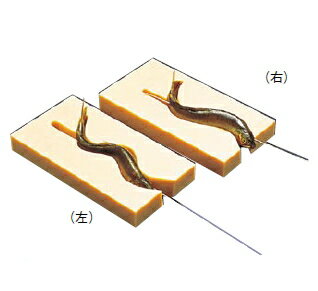 魚串打ち器 右大