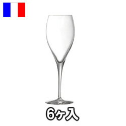 ウノローグ　フルート　26　(6ヶ入) C＆S　U0952