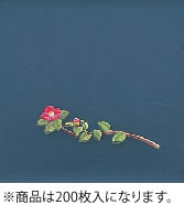 OPクリア四季 椿(200枚入) OS-18-10【敷紙】【業務用】