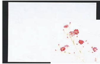 四季紙・千寿(100枚入) 秋桜 M30-212【敷紙】【会席紙】【会席マット】【業務用】