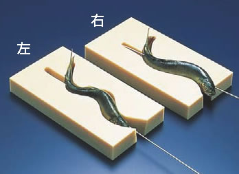 PE魚串打ち器 大 右【業務用】