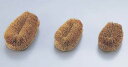 かもめタワシ(20ヶ入) 中 【清掃道具 掃除道具】【たわし】【亀の子たわし】【汚れ落とし】【業務用】(3)