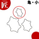 たかもりの生抜 抜き型 亀 小 #1【ctaa】 抜き型 抜型 ステンレス 野菜抜き かめ カメ 亀