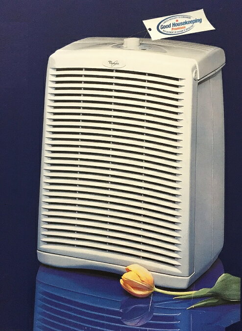 特価 送料無料 ワールプール社 空気清浄機 ウィスピュア AP15030H 11畳(B級品 返品不可) 脱臭 ホコリ 花粉 PM2.5 除去