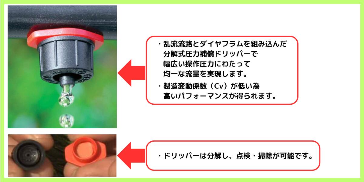 ボタン ドリッパー 5個セット ドリップ ポットドリッパー 点滴ノズル バーブ式 露...