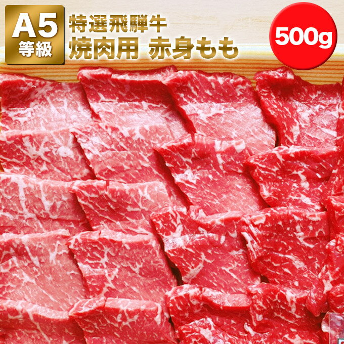 【特選飛騨牛A5等級 もも 500g】赤身焼肉用 2.5〜4人前★送料無料★