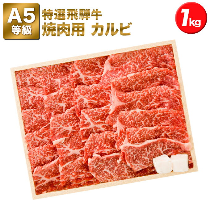 飛騨牛 【特選飛騨牛A5等級　(ロース/肩ロース/バラ/上もも)　1000g】焼肉用カルビ　5〜7人前★送料無料★