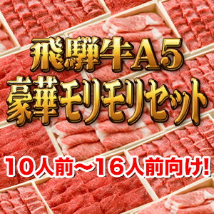 【飛騨牛A5豪華モリモリセット】10人前〜16人前向け!