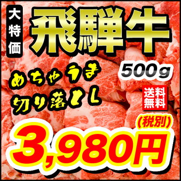 【飛騨牛A3〜5等級混雑　切落とし　500g】　2.5〜4人前★送料無料★