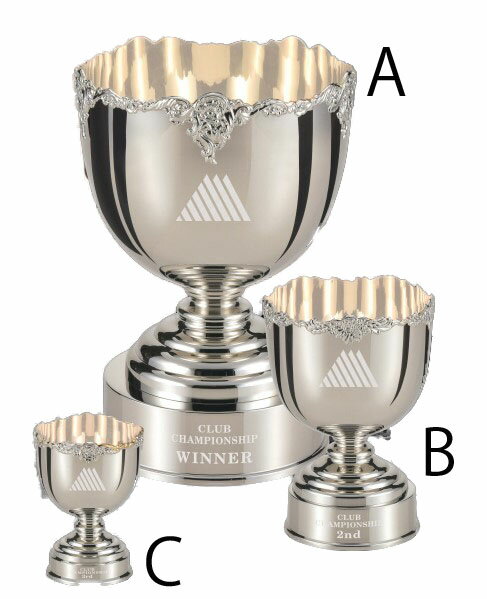 商品名　優勝カップ　真鍮製カップ［DC-1445］　Bサイズ　19.5cm