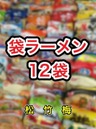 【送料無料】【袋ラーメン12種類】