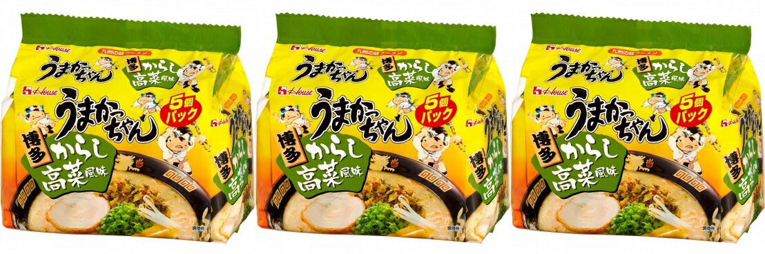 【送料無料】【3個セット】【5食パック】【博多からし】うまかっちゃん博多からし高菜風味 インスタントラーメンインスタント麺インスタント袋めん袋麺非常食防災即席ラーメン九州限定商品地域限定商品グルメ美味しいご当地ラーメン HOUSE食品ハウス食品夜食レア豚骨辛子 1