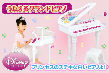 【箱傷】ディズニープリンセス　歌えるグランドピアノ　うたえるグランドピアノ　入手困難