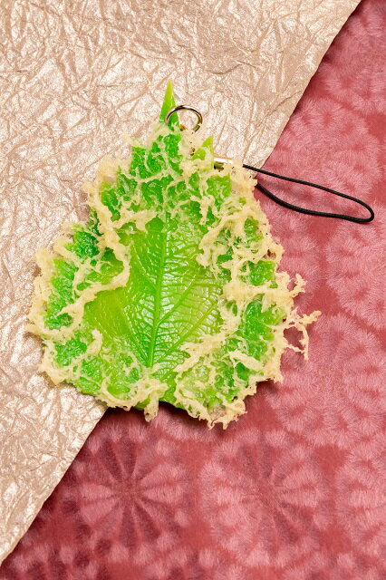 ʥץ벰㤨֥ȥå աŷפ顡ʥץ åϥɥᥤɡפβǤʤ770ߤˤʤޤ