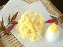 食品サンプル グッズ 蓮根天ぷら 天ぷら【メール便200円発送可能】