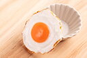 コンセントキャップ 目玉焼き 食品サンプル グッズ ハンドメイド