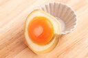 コンセントキャップ 生卵 食品サンプル グッズ ハンドメイド
