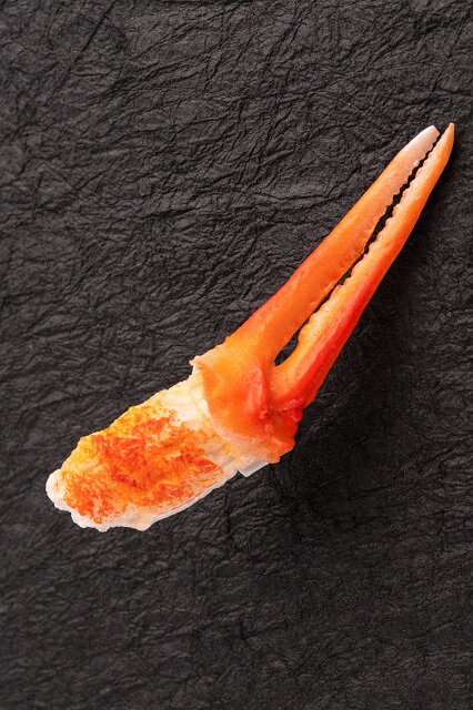 コンセントキャップ カニ爪 食品サンプル グッズ ハンドメイド