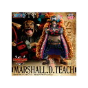 ワンピース DXF THE GRANDLINE SERIES SPECIAL 黒ひげ マーシャル・D・ティーチMARSHALL.D.TEACH フィギュア 2025年8月発売予定