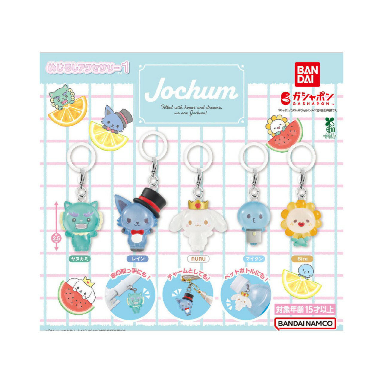 【予約商品 2026年1月発売予定 】 JOCHUM めじるし アクセサリー 1 ジェオチャム 全5種セット カプセルは付属しておりません