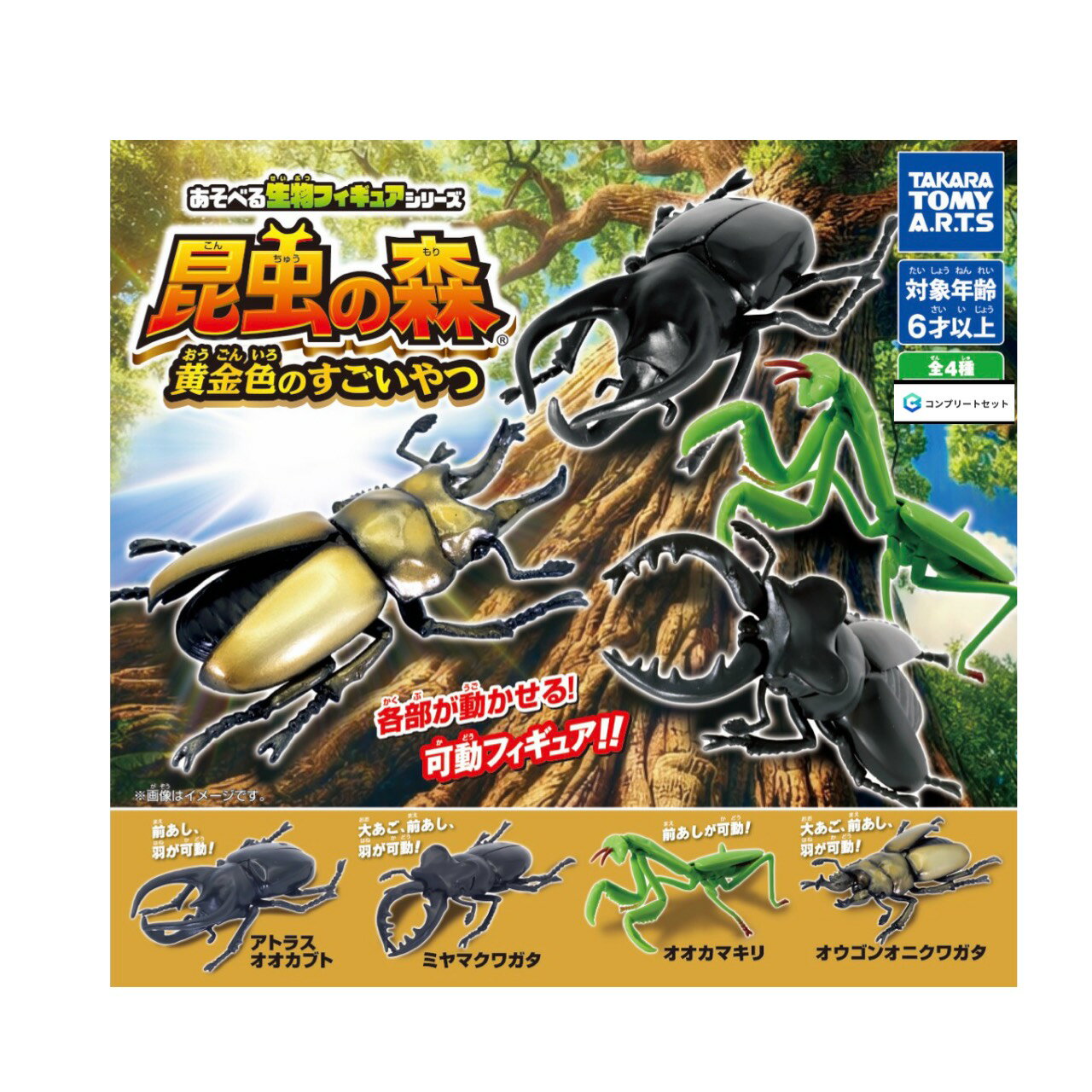 昆虫フィギュアセット 全　9種 Amazon | 【昆虫フィギュア セット】ザ・アクセス 立体甲虫図鑑 世界の