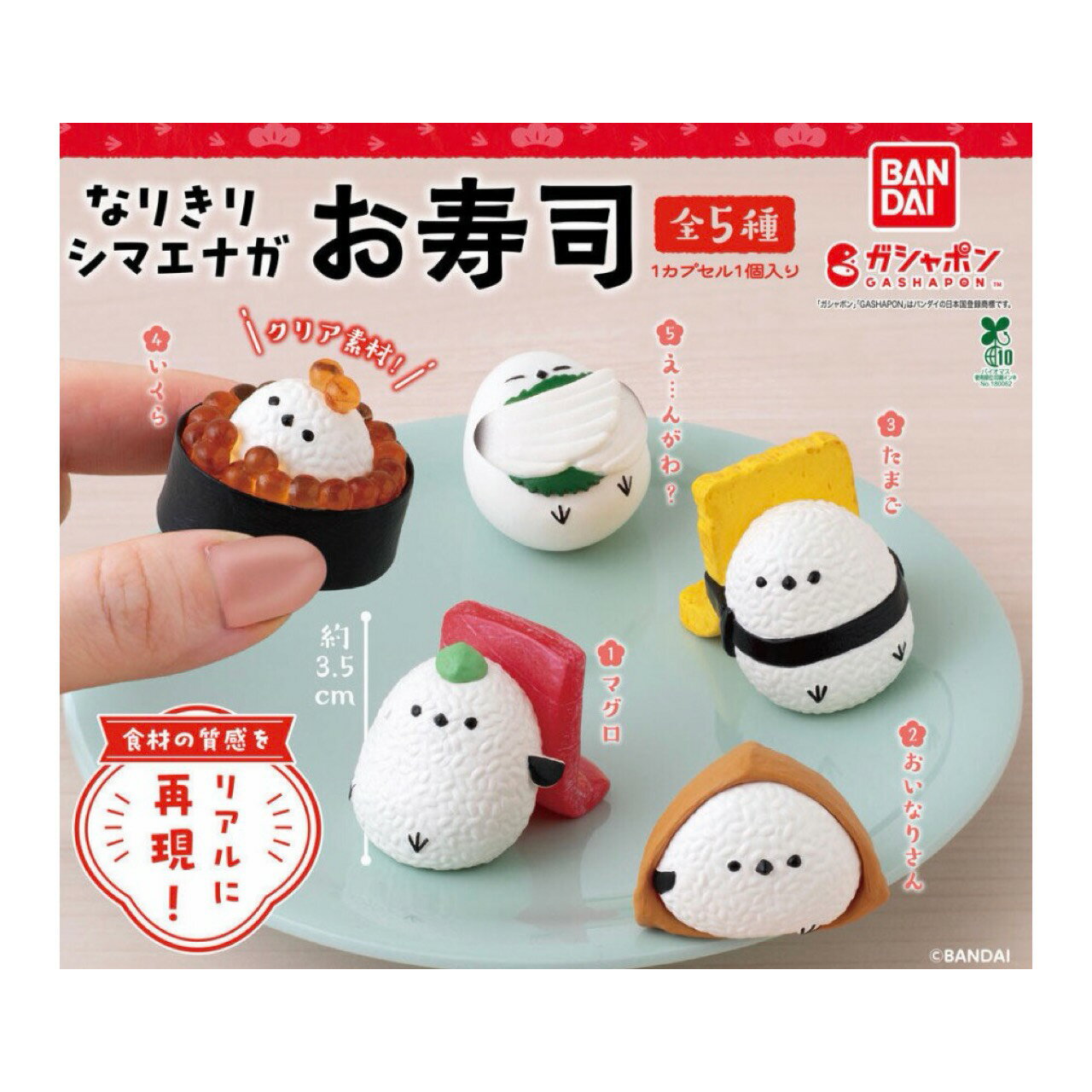 楽天市場】すみっこぐらし なりきりおすしの通販