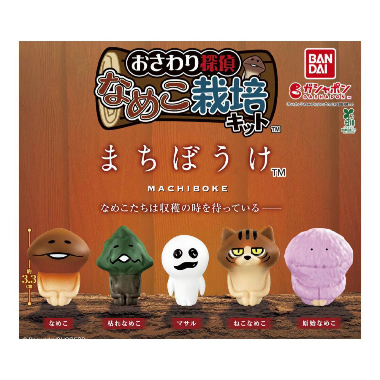 楽天市場】なめこ栽培（おもちゃ）の通販