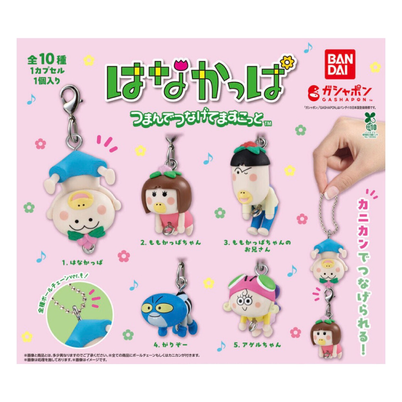 楽天市場】はなちゃん 着せ替えの通販
