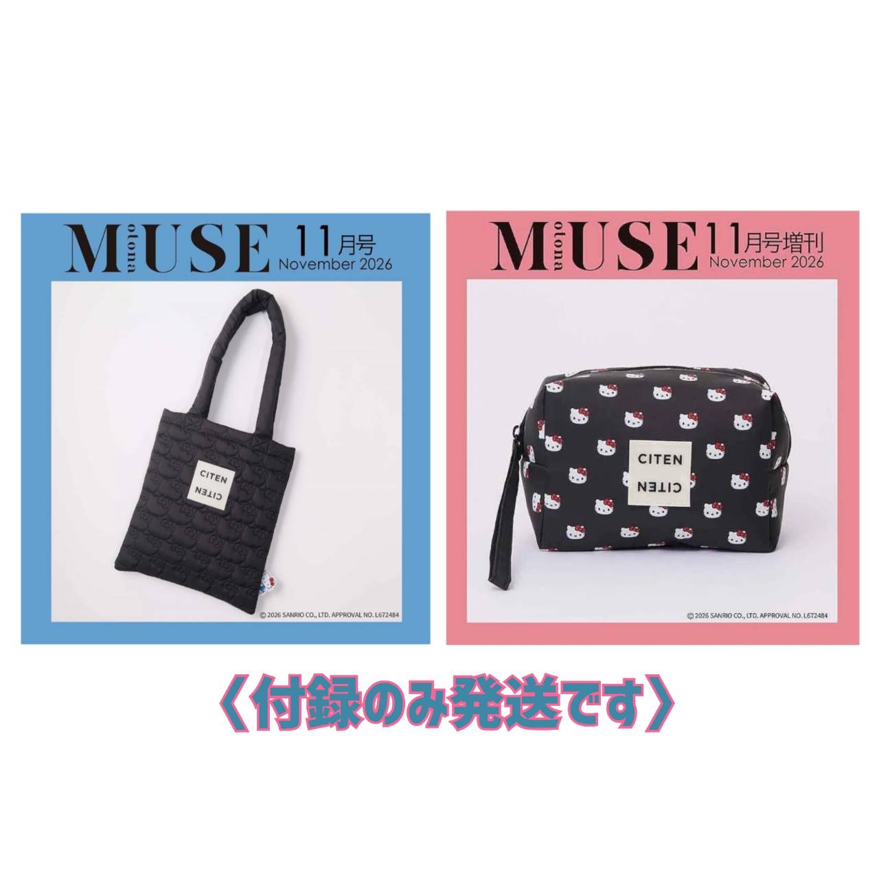 雑誌 オトナミューズ 付録 バッグなどいろいろ9種セット 女性