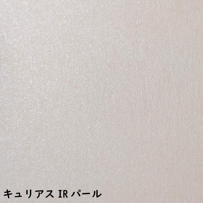 メッセージカード キュリアスIR 父の日 名刺サイズ はがきサイズ A4サイズ 50枚 100枚 200枚 送料無料 クリスマス 無地 名刺 ギフト POP ポップ おしゃれ カード 上品 贈り物 メモ シンプル 紙 厚紙 手紙 特殊紙 訳あり 端紙 用紙 パール