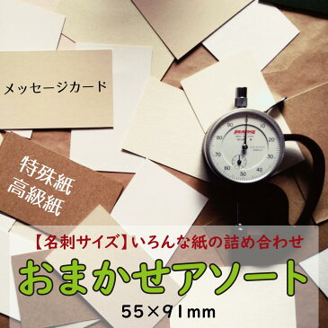 送料無料 メッセージカード 名刺サイズ 無地 おしゃれ ミニカード 名刺カード アソート 詰め合わせ ミニメッセージカード メモカード 無地 シンプル 寄せ書き アルバム 名刺 サイズ 紙 厚紙 ミニ 高級 手紙 名刺紙 名刺用紙 ギフト 贈り物