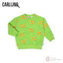 yCarlijnQzWhat I Like - sweater