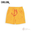 yCarlijnQzBasic - shorts loose fit (orange)