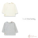 【1+ in the family】NOELLE