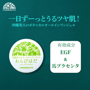 わらびはだ 30g 角質 保湿 1個 2個 3個 ヒアルロン酸 馬プラセンタ シワ たるみ ゴワつき ハリ ツヤ 1本4役 無添加オールインワンジェル イボ 角質 保湿 首イボ デコルテ 女性 人気 プレゼント